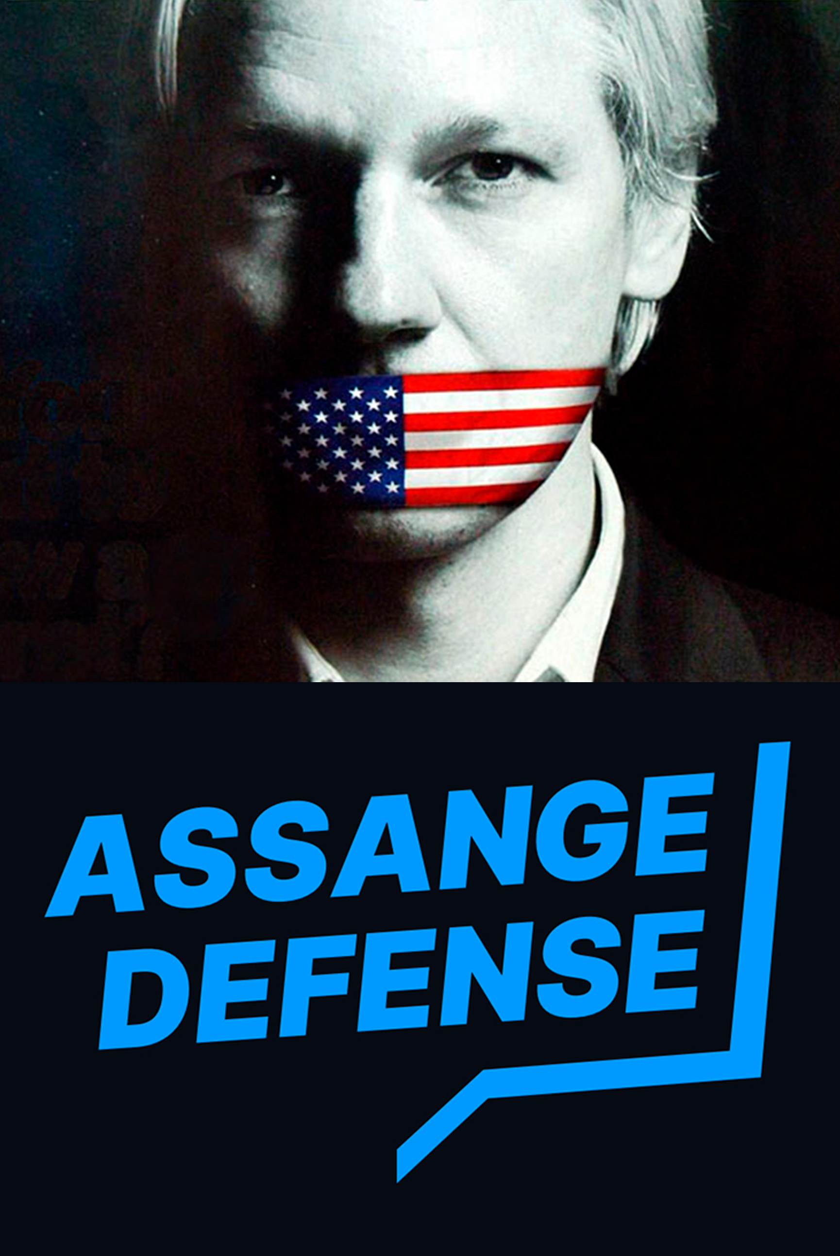 Assange-Defense-VC